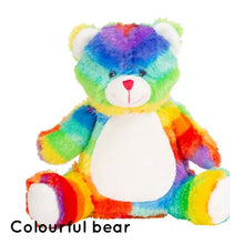 Load image into Gallery viewer, Birth Details bear