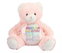 Load image into Gallery viewer, Birth Details bear