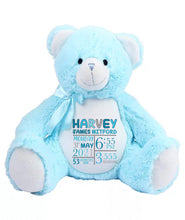 Load image into Gallery viewer, Birth Details bear