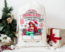 Load image into Gallery viewer, Character Santa sack
