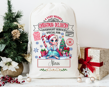 Load image into Gallery viewer, Character Santa sack
