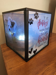 Memorial Pet photo box