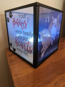 Memorial Pet photo box